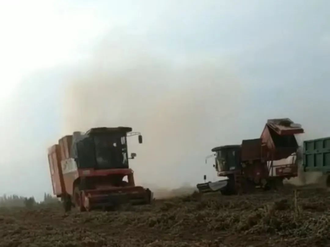 正陽陳嶺:中聯(lián)收獲“送”了我一臺大眾車 801-2.jpg