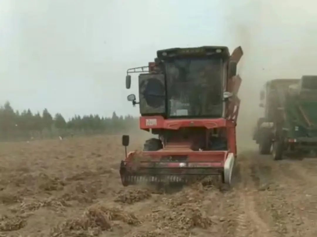 宋孝思:我是中聯(lián)收獲的忠實粉絲 805.jpg